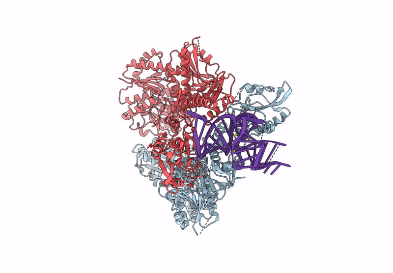 9GMW image