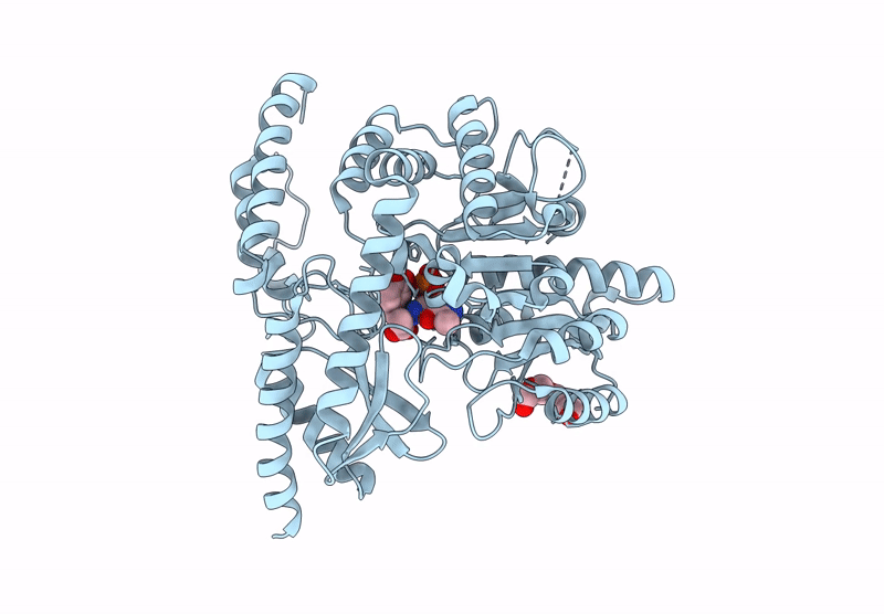 9GNS image