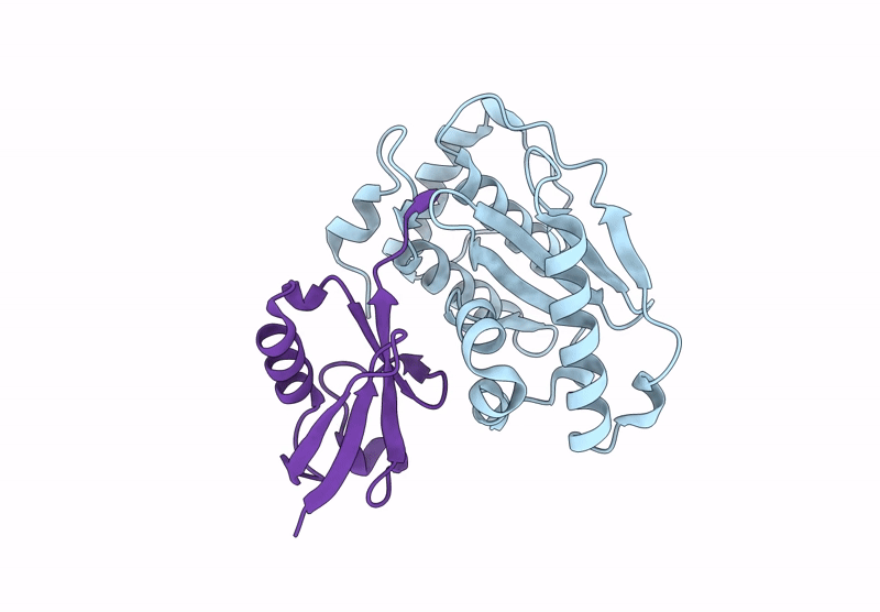9GNV image