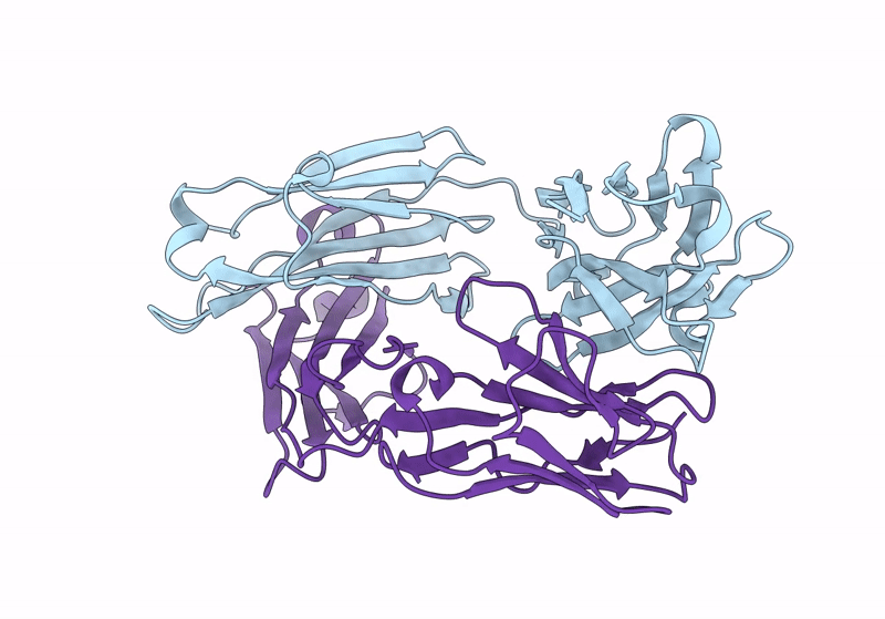 9GP2 image