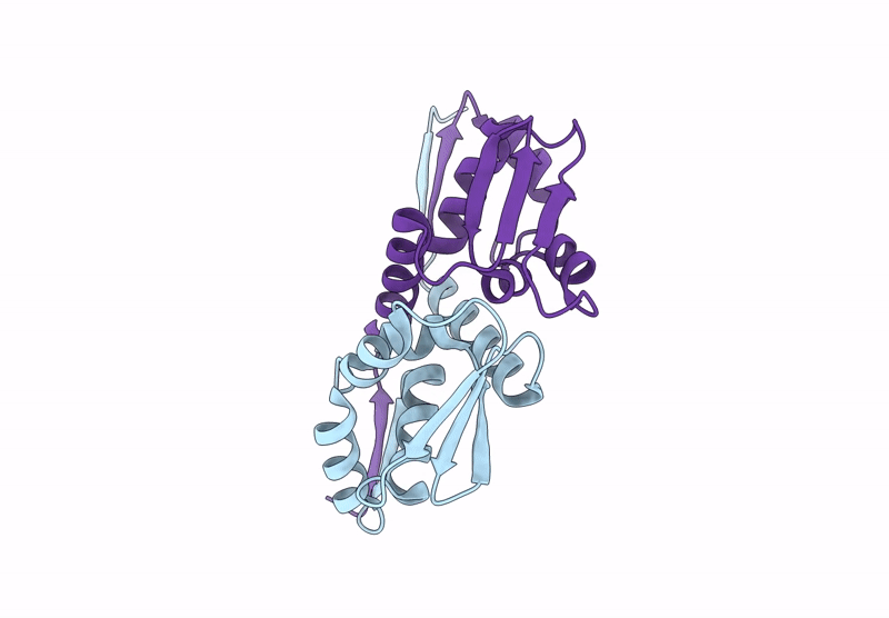 9GP5 image