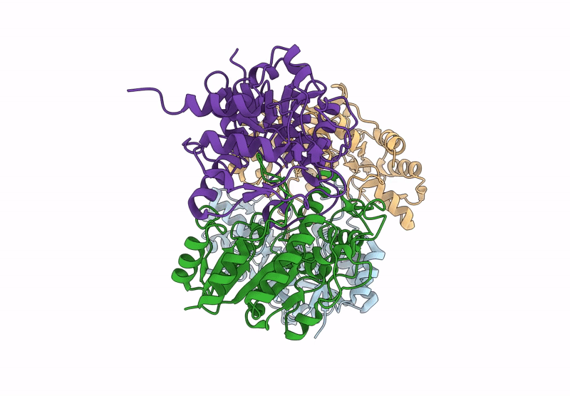 9GPI image