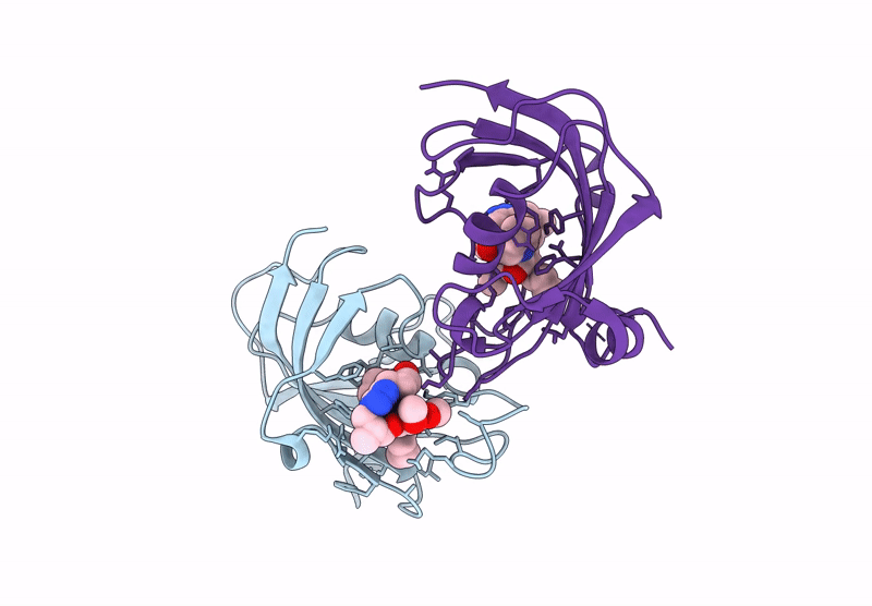 9GPO image