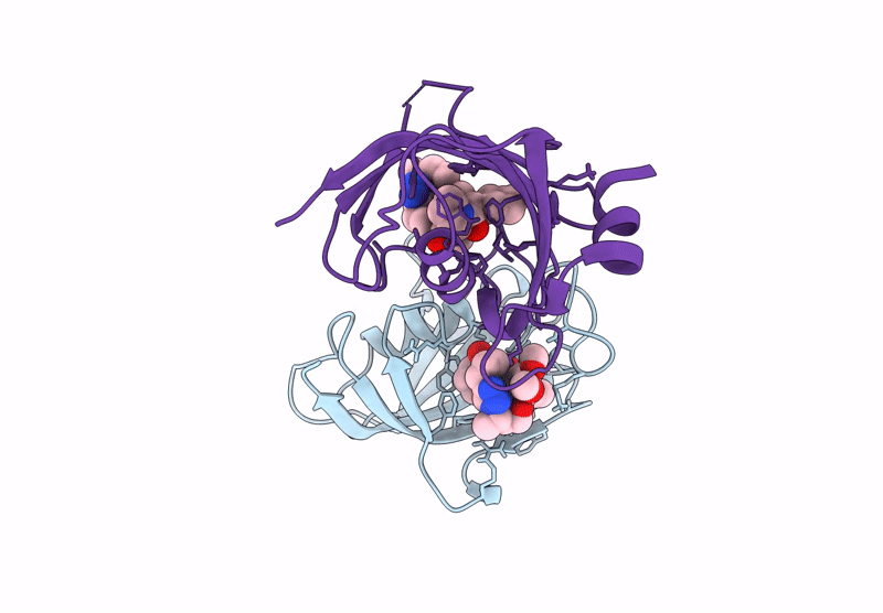 9GPT image