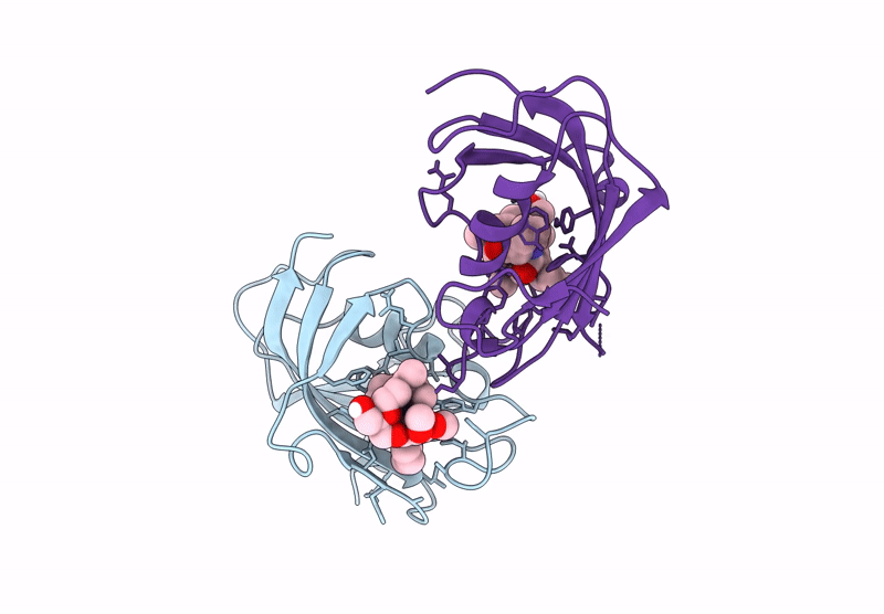 9GQH image