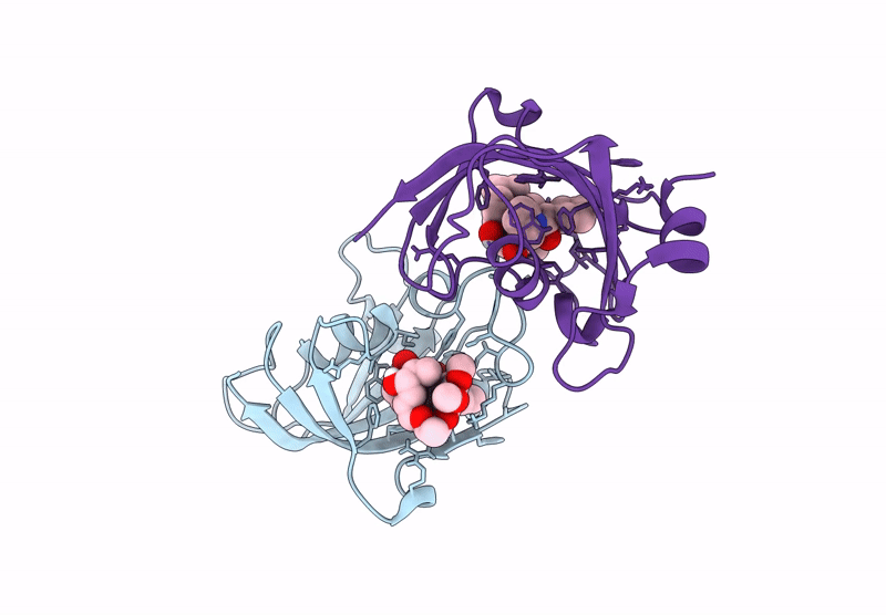 9GQI image
