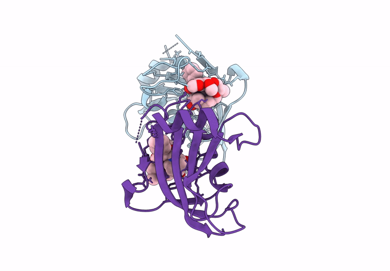 9GQK image