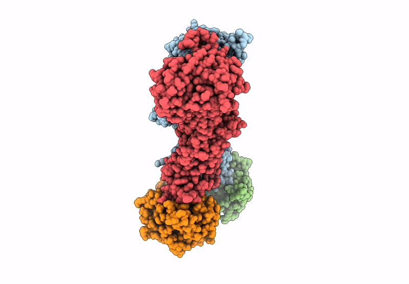 9GRC image