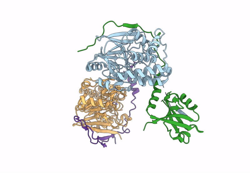 9GSU image