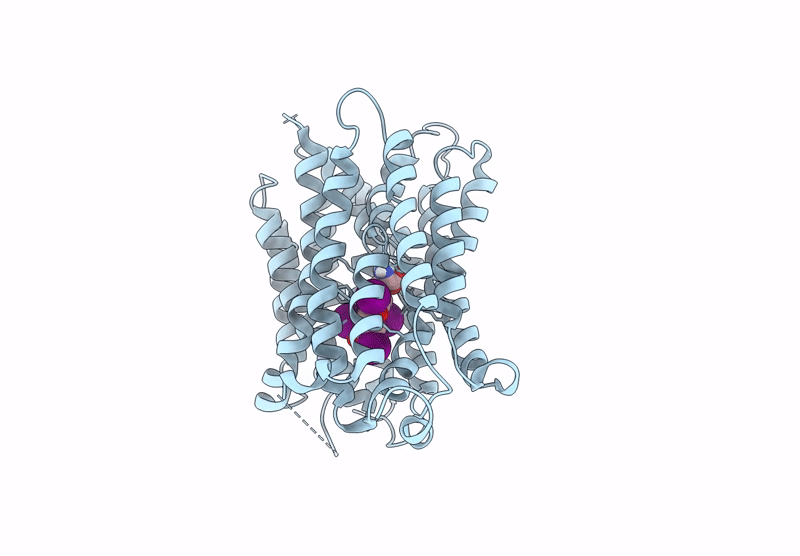 9GSZ image