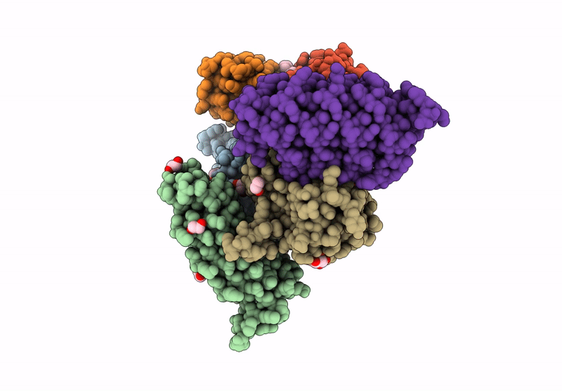 9GTK image