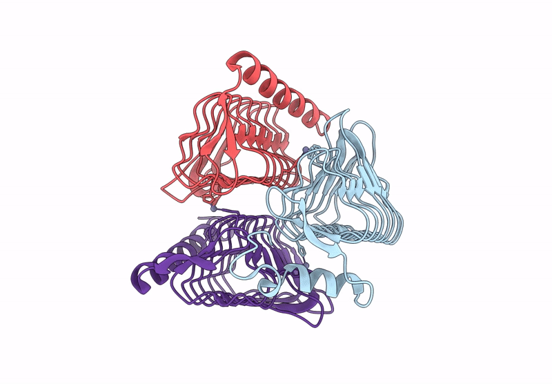 9GVA image