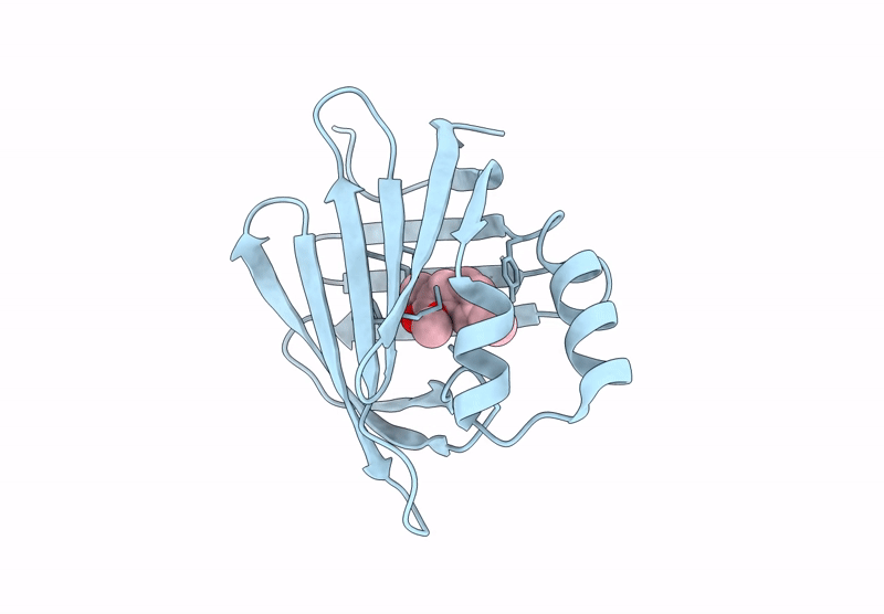 9GVX image