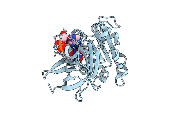 9GXB image