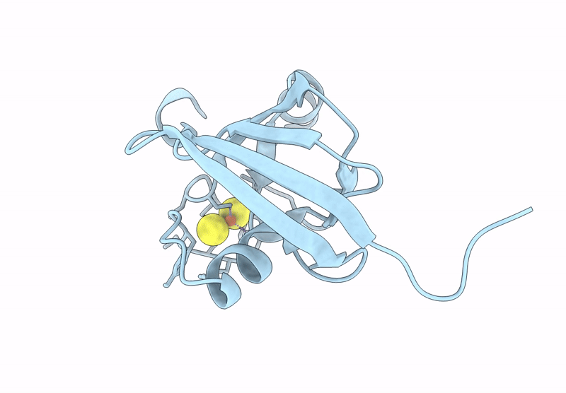 9GYD image