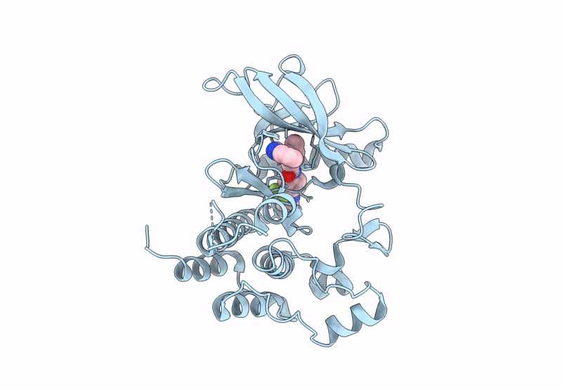 9GZH image