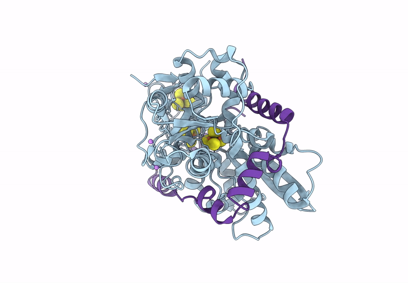 9GZL image