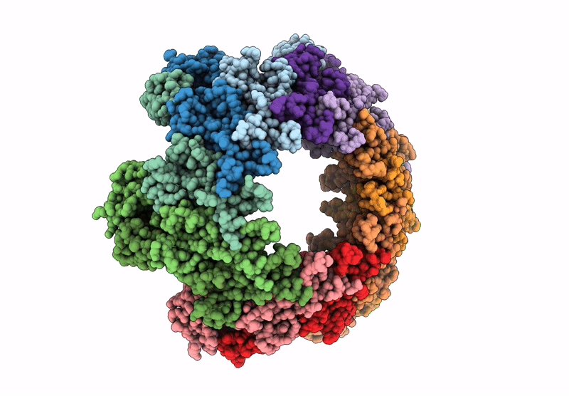 9GZR image