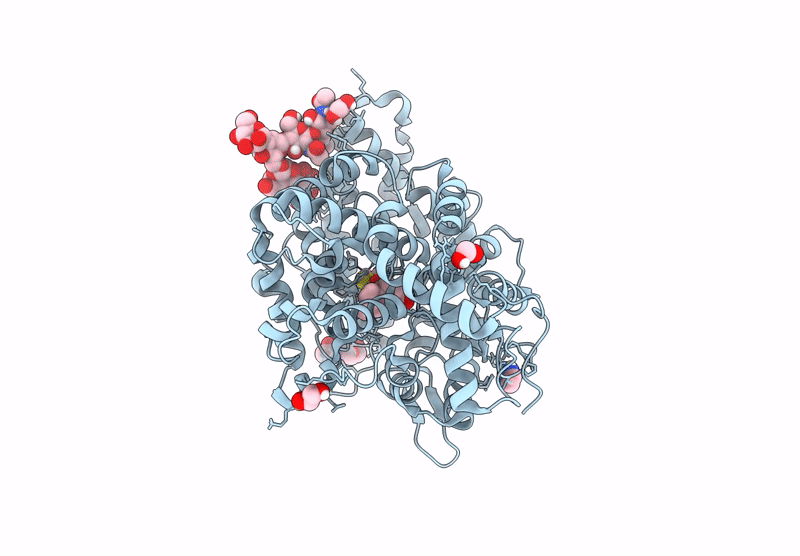 9H1D image
