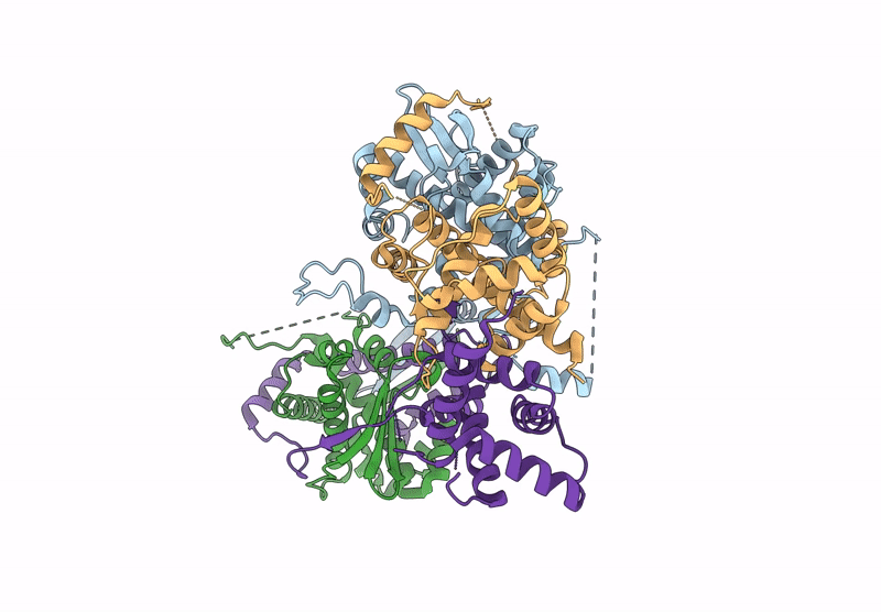 9H2C image