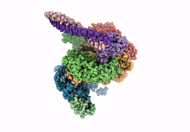 9H2J image