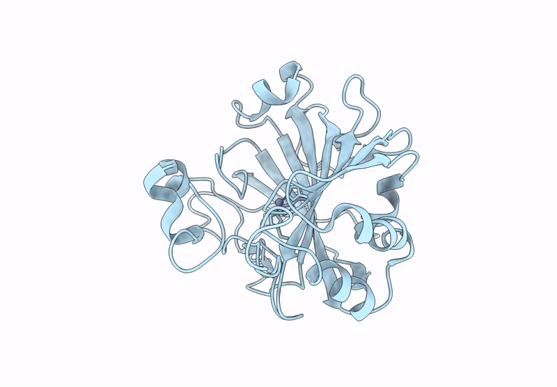 9H3H image