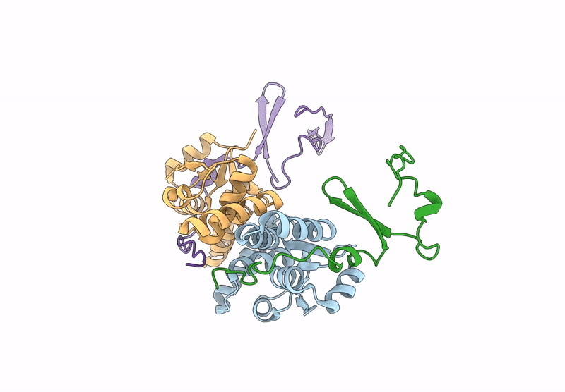 9H6D image