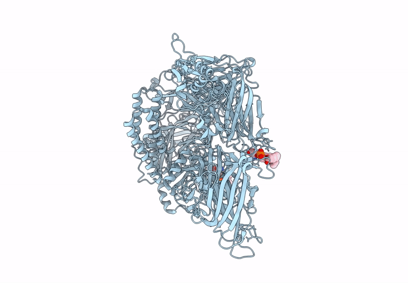 9H6X image