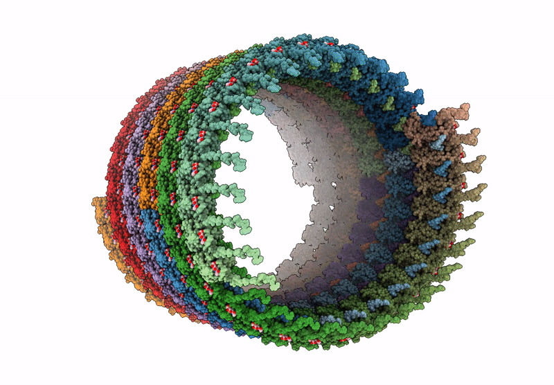9H8B image