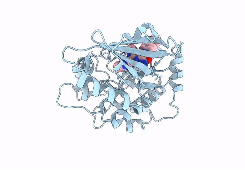 9H8E image