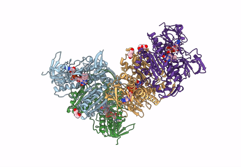 9H9C image