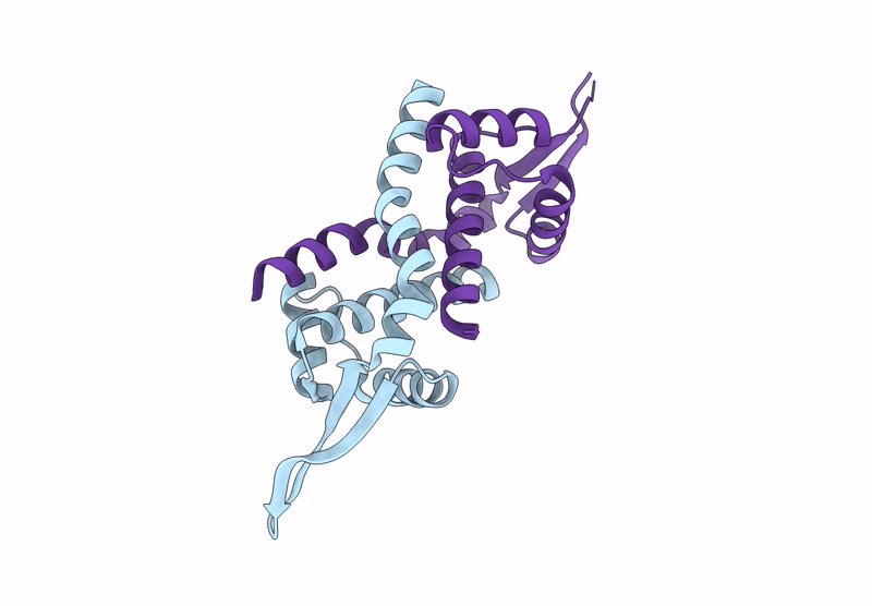 9H9X image