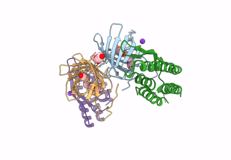 9HAC image