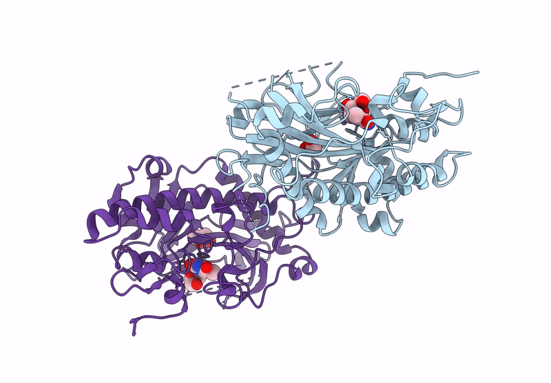9HDM image