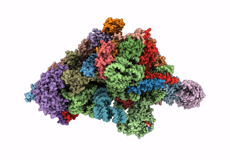 9HFO image