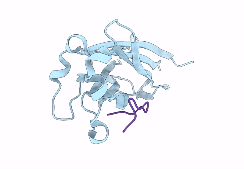 9HFV image