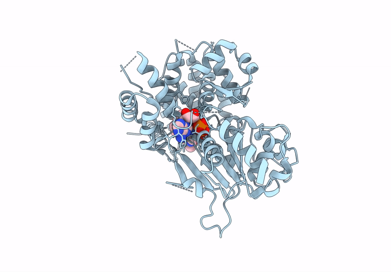 9HG4 image