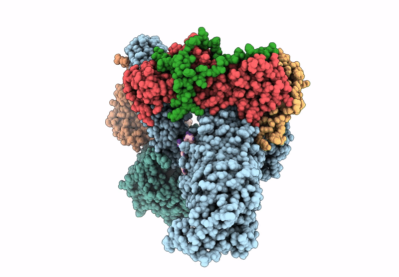 9HGA image