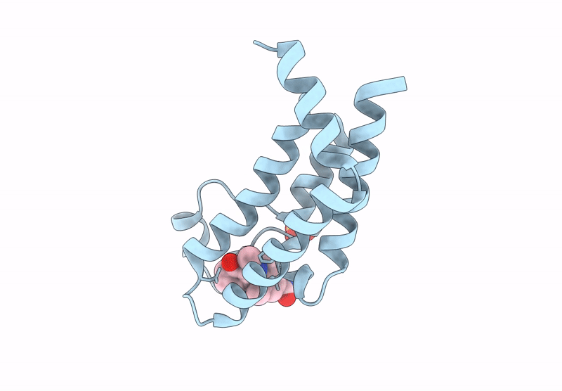 9HGF image