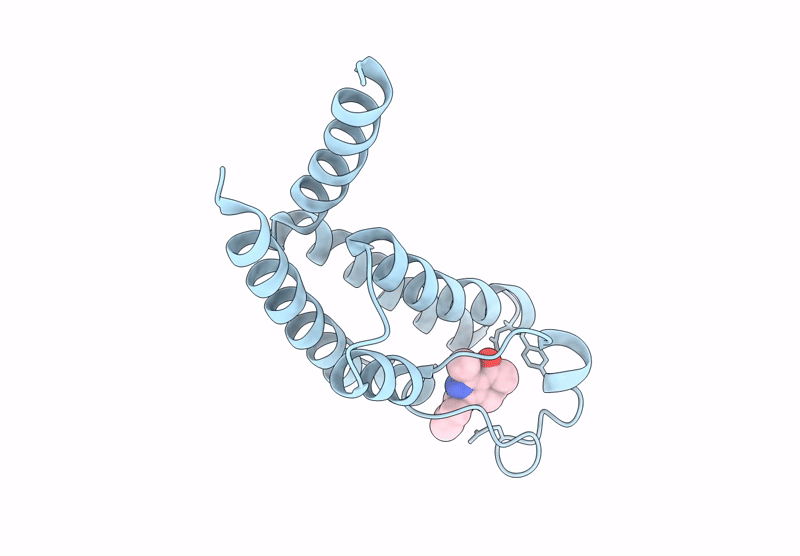 9HHD image