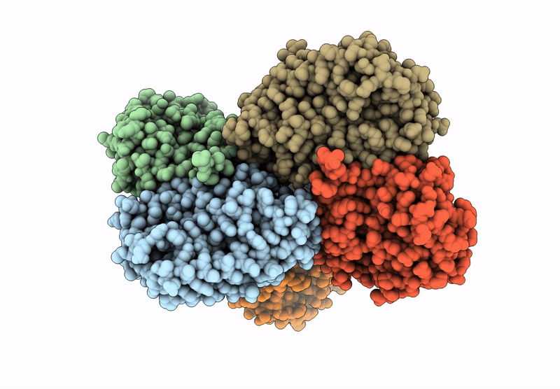 9HJS image