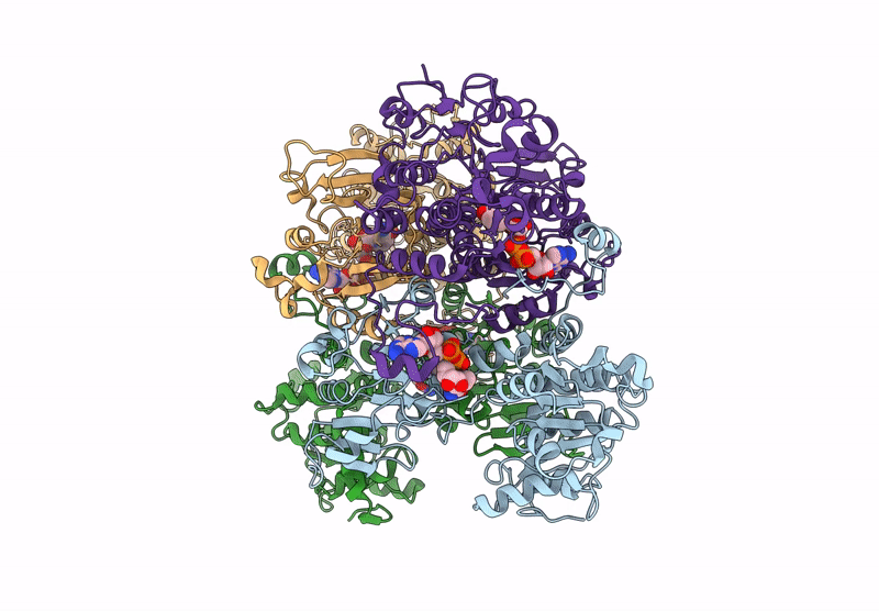 9HKV image