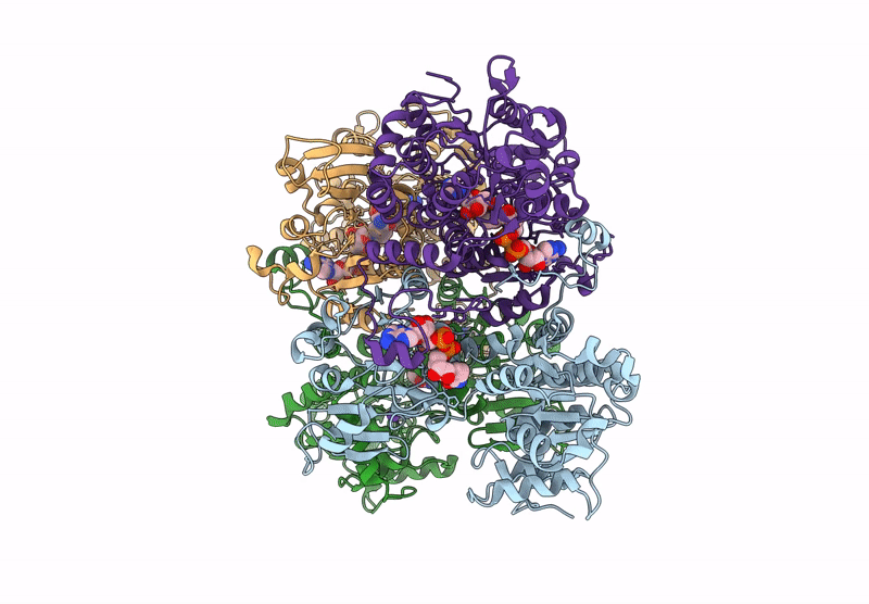 9HKX image