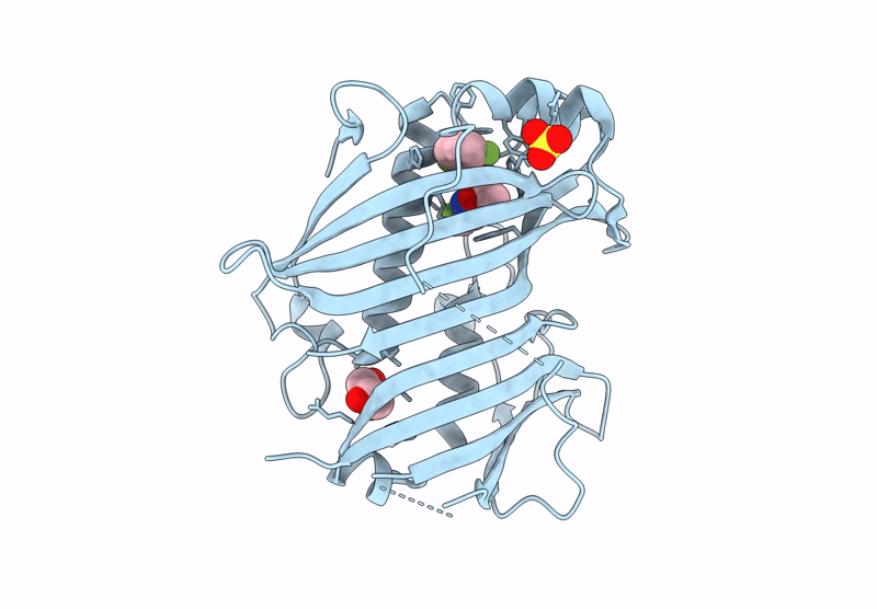 9HMT image