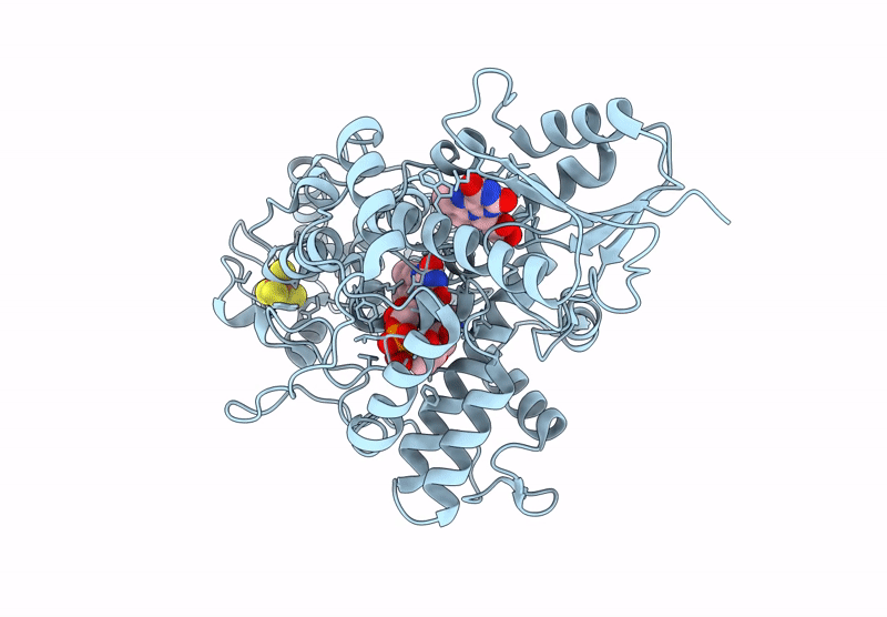 9HNO image
