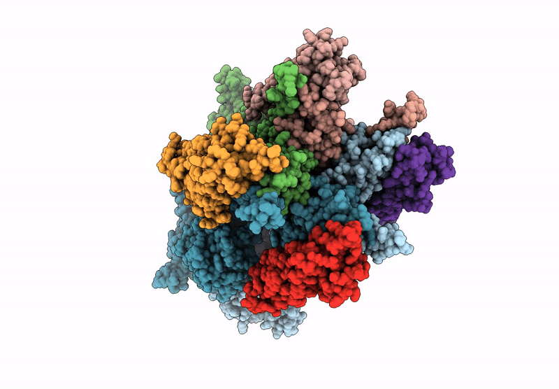 9HPC image