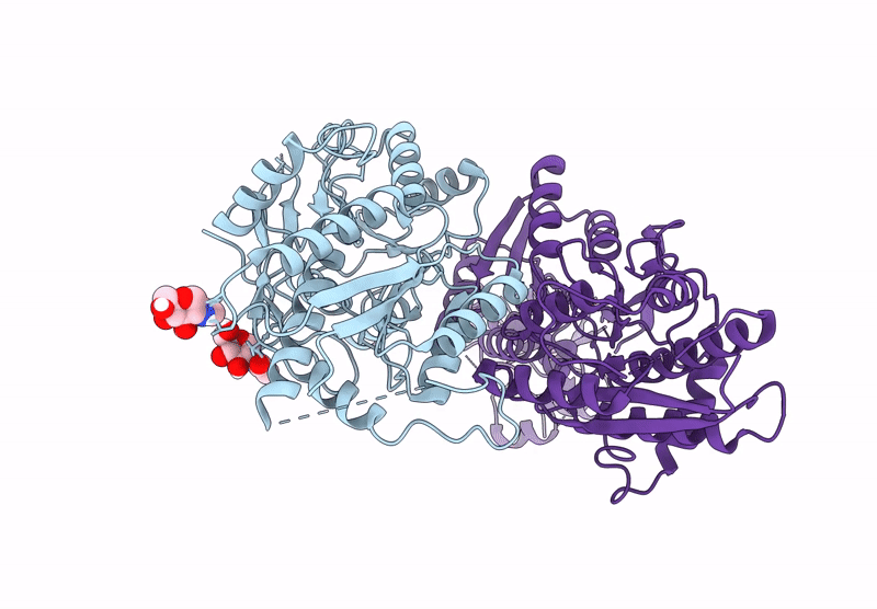 9HPF image