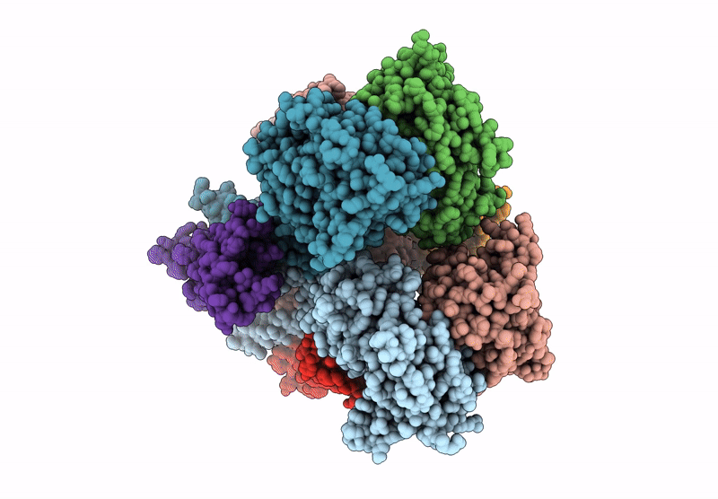 9HPK image