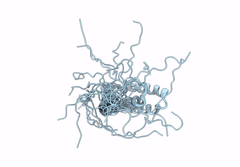 9HSA image