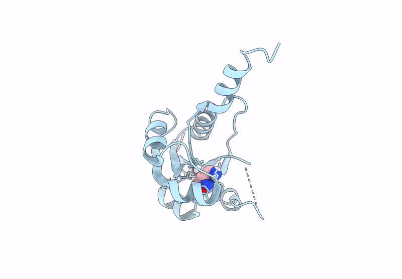 9HSB image